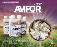 Avifor Forte 250ml - Voor Alle Vogels Avifor Forte 250ml - Voor Alle Vogels